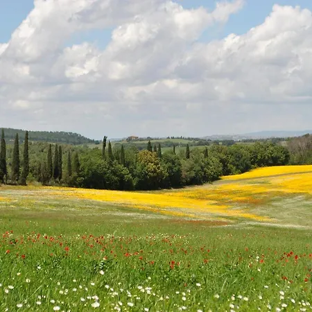 Apartment Orchidea Torrita di Siena